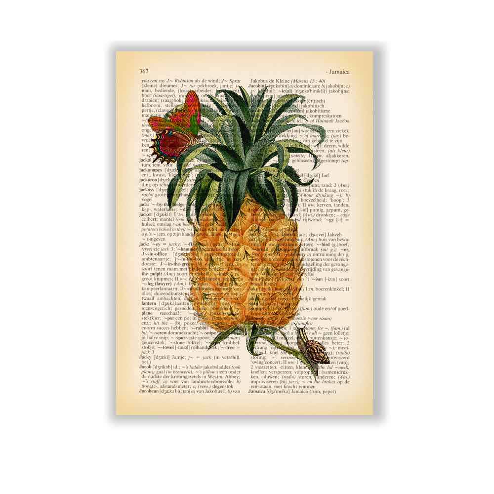 Pineapple, snail and Butterfly art print S&G Studio