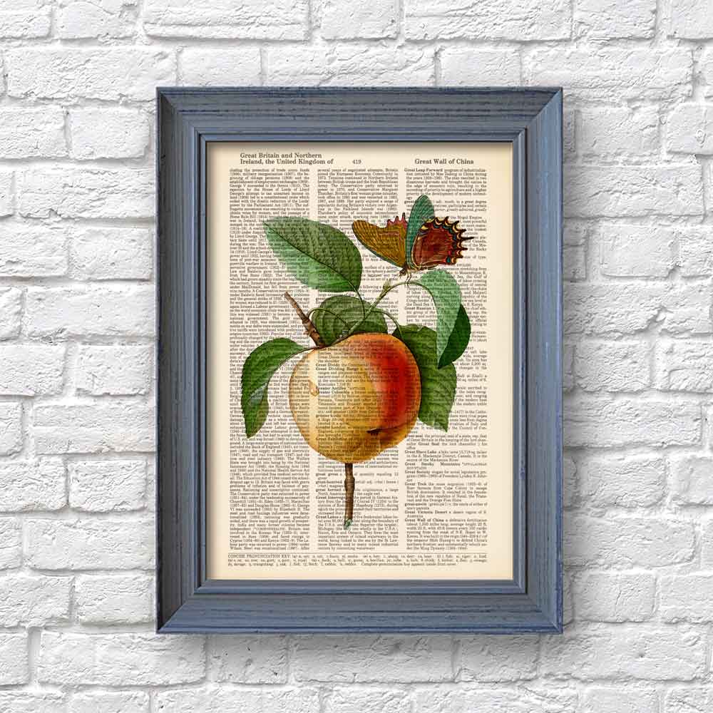 Apple and Butterfly art print S&G Studio