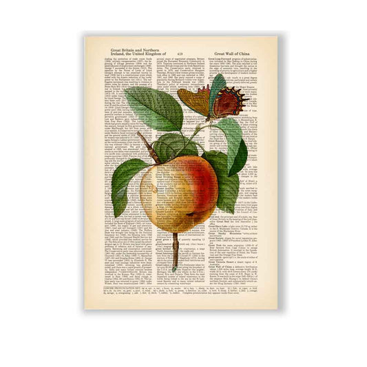 Apple and Butterfly art print S&G Studio