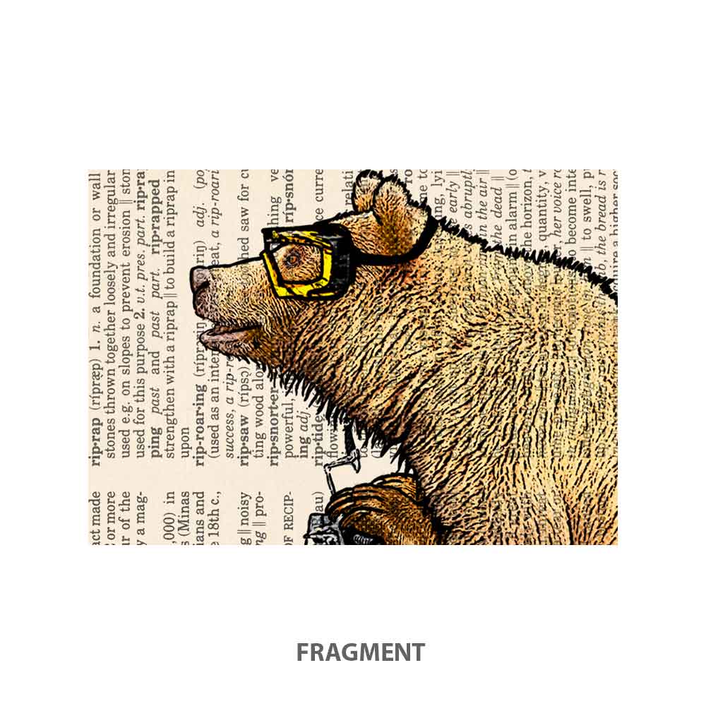 Grizzly bear on motorbike art print S&G Studio fragment