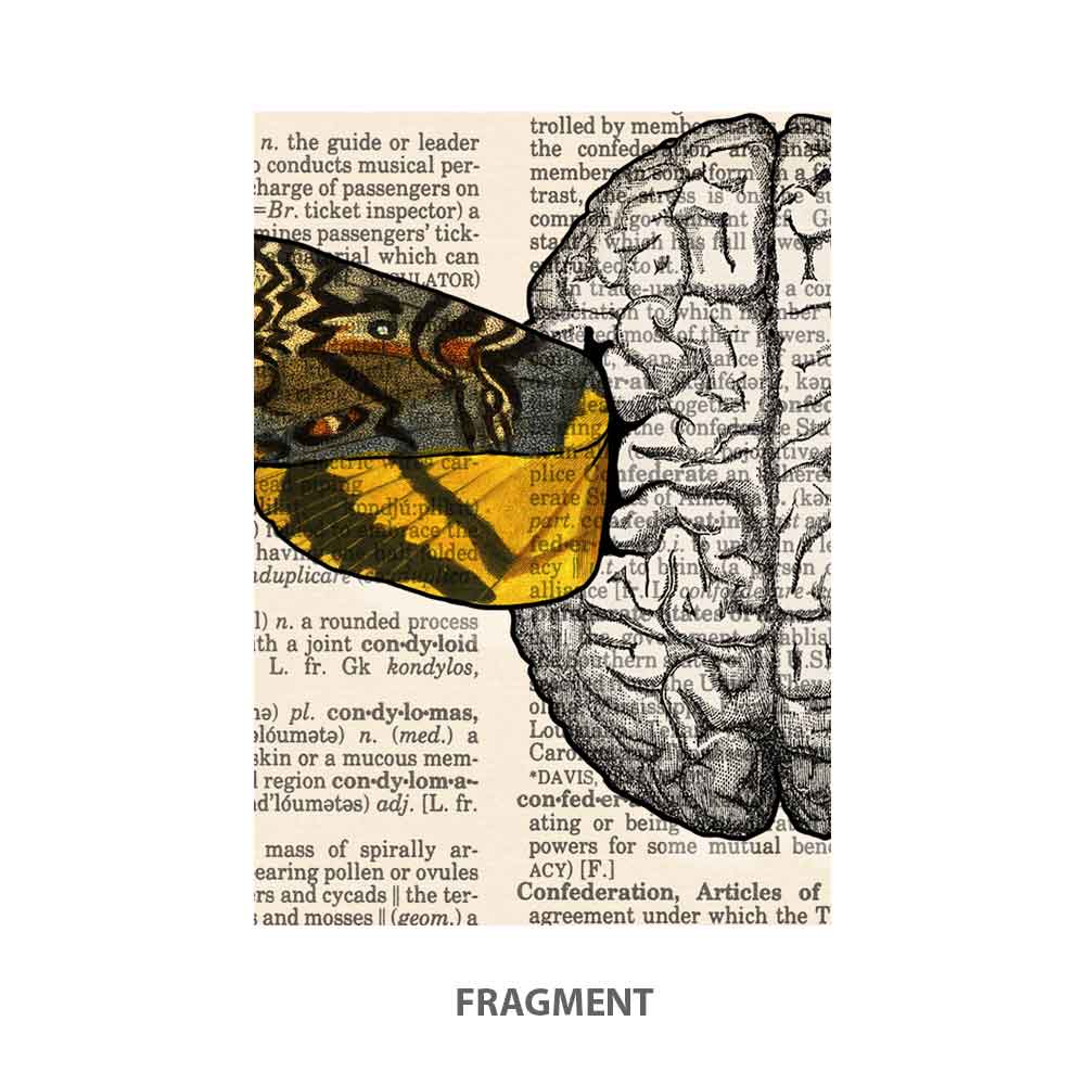 Brain with sign art print S&G Studio fragment