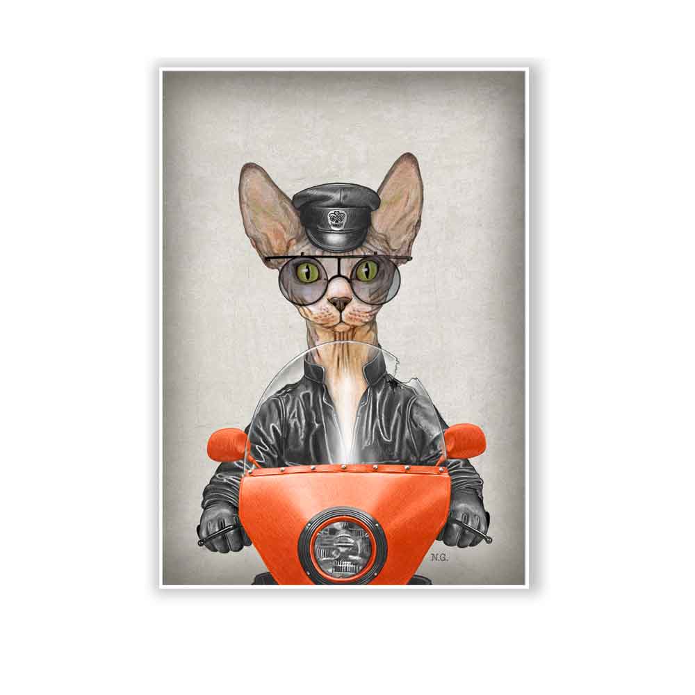 Sphynx cat on bike art print S&G Studio