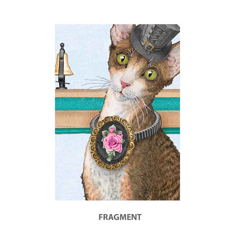 Devon Rex cat poster S&G Studio fragment