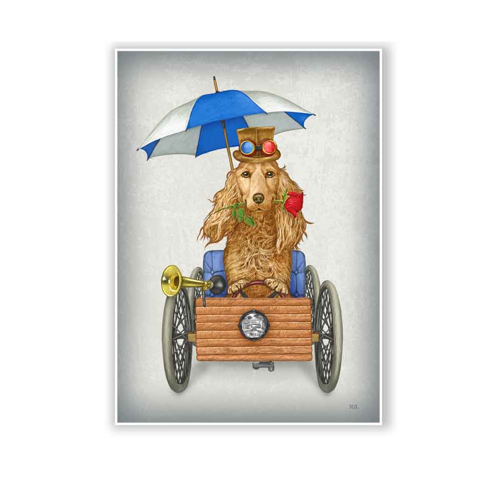 Cocker Spaniel in an antique car art print S&G Studio