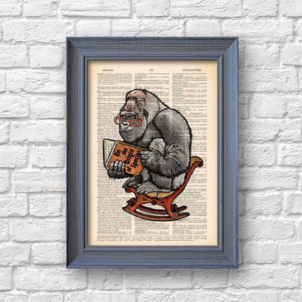 Gorilla reading book by C. Darwin art print S&G Studio