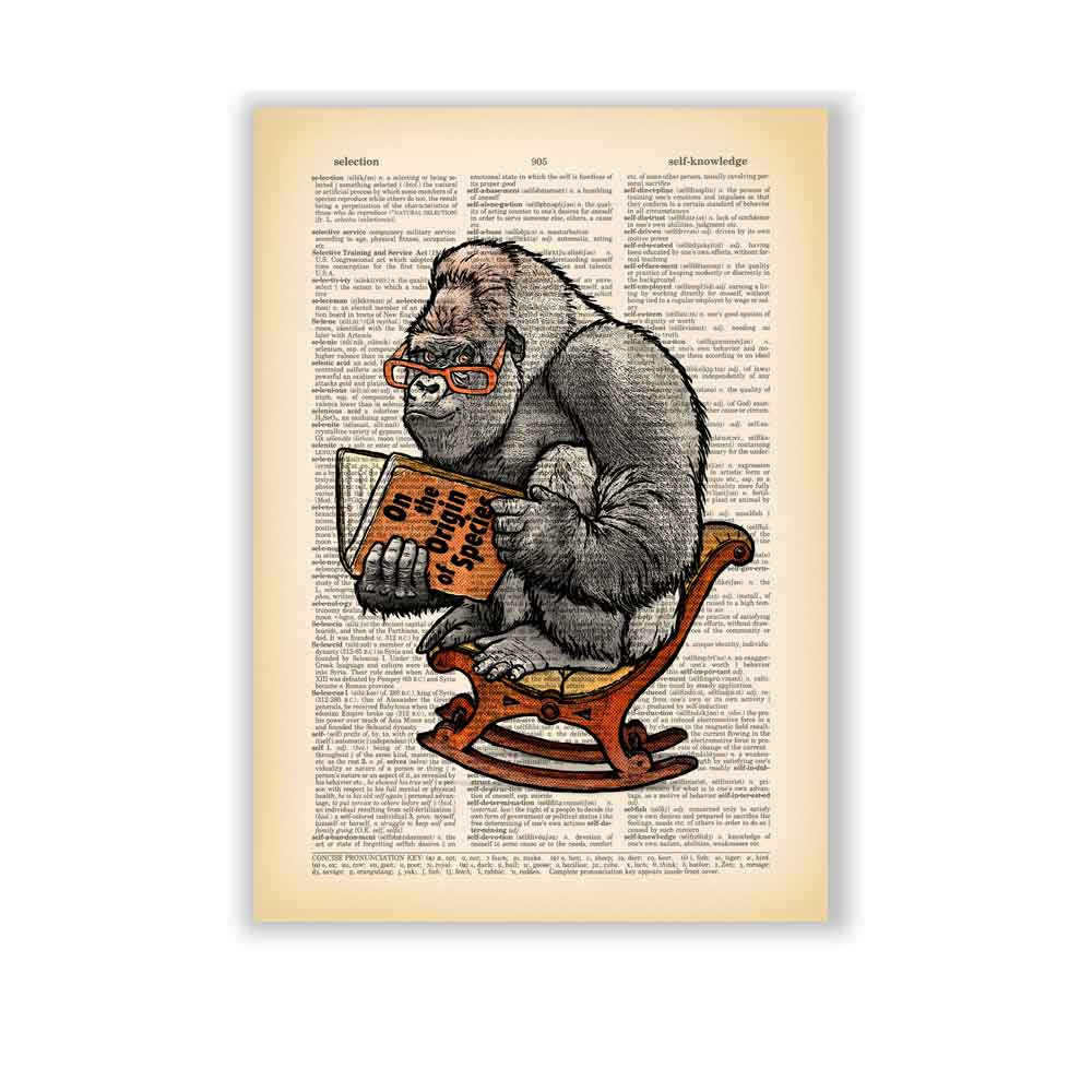 Gorilla reading book by C. Darwin art print S&G Studio