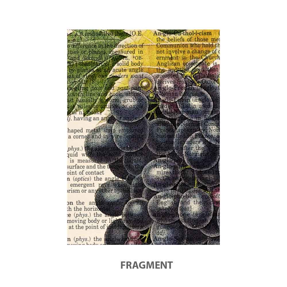 Black grapes, snail and butterfly art print S&G Studio fragment