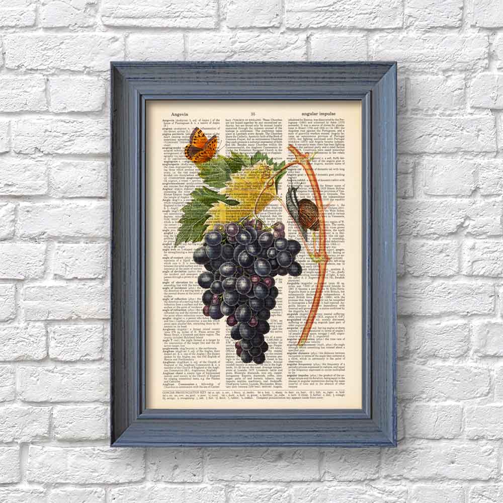 Black grapes, snail and butterfly art print S&G Studio