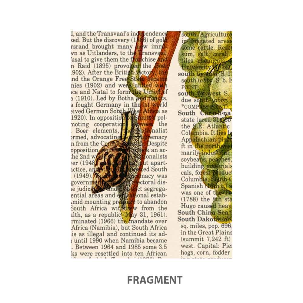 White grape butterfly and snail art print S&G Studio fragment