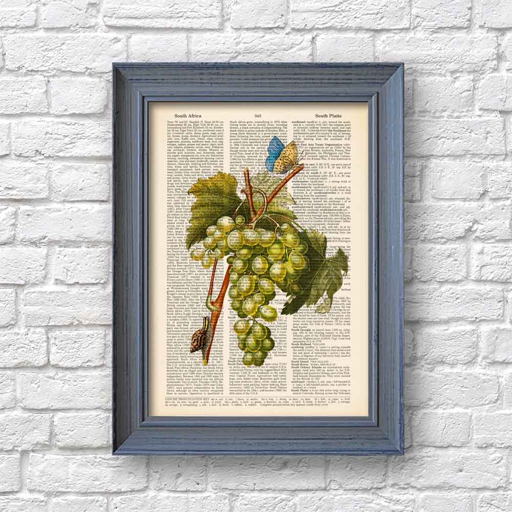 White grape butterfly and snail art print S&G Studio