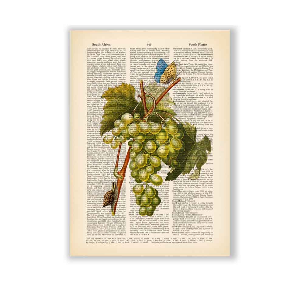 White grape butterfly and snail art print S&G Studio