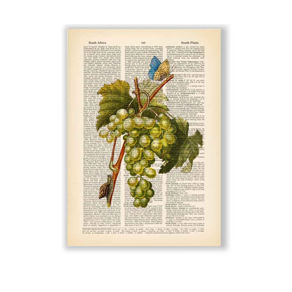 White grape butterfly and snail art print S&G Studio