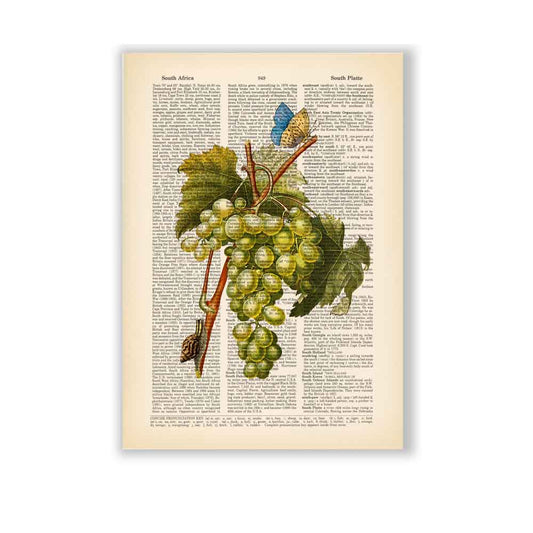 White grape butterfly and snail art print S&G Studio