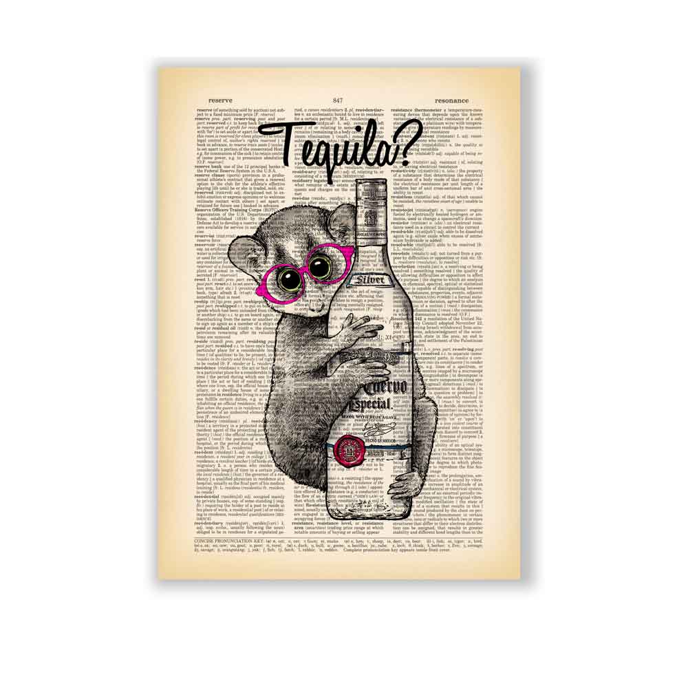 Lemur and Tequila art print S&G Studio