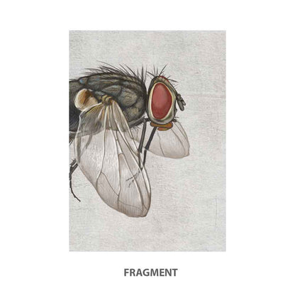 Fly Minimalist Art Print S&G Studio fragment