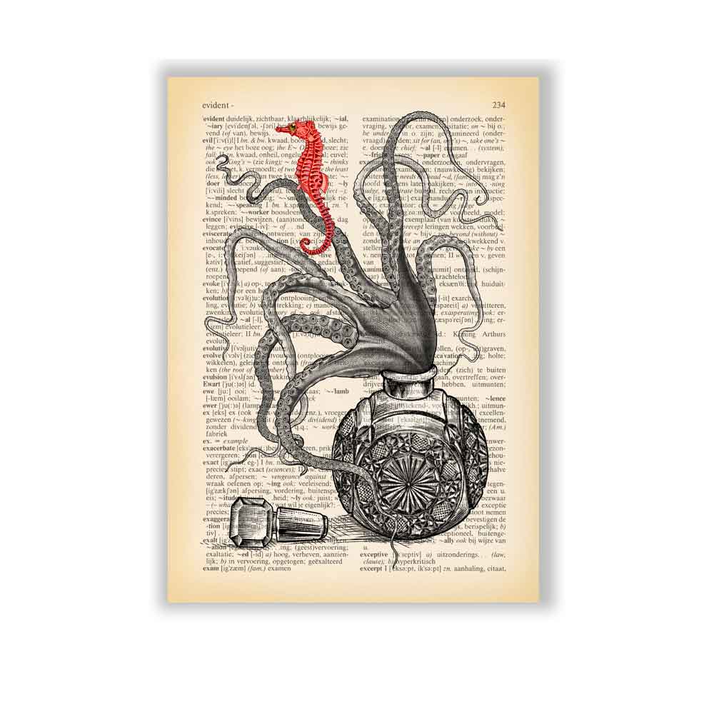 Octopus and Seahorse art print S&G StudioOctopus and Seahorse art print S&G Studio