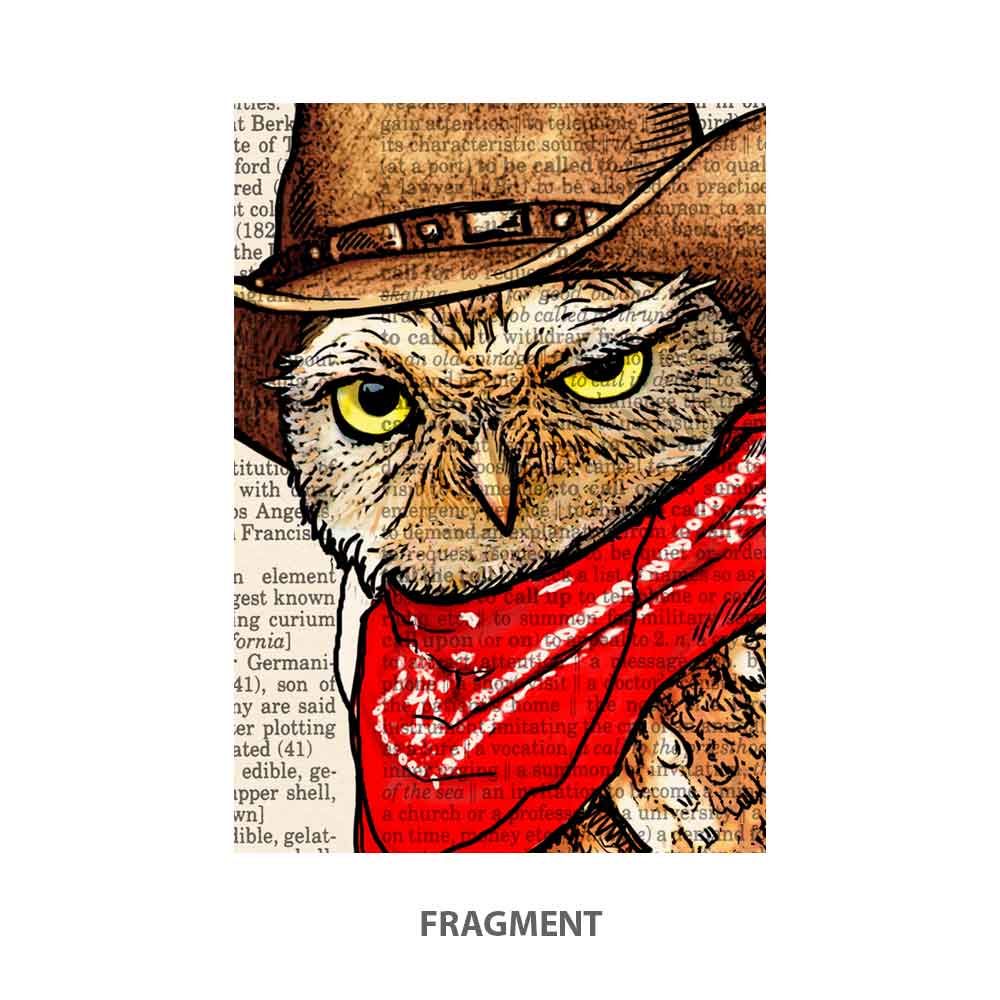 Owl Cowboy art print S&G Studio fragment