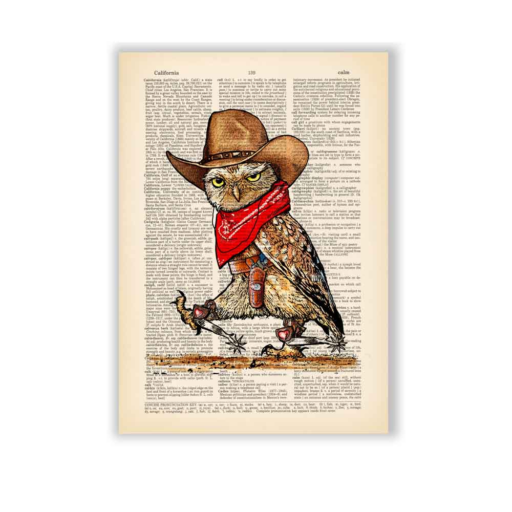 Owl Cowboy art print S&G Studio