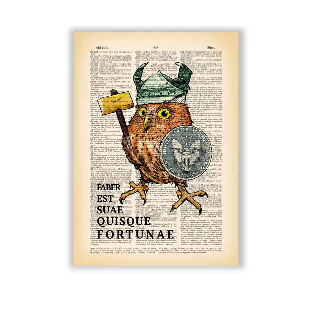 Fortunate Owl Viking with latin quote art print S&G Studio