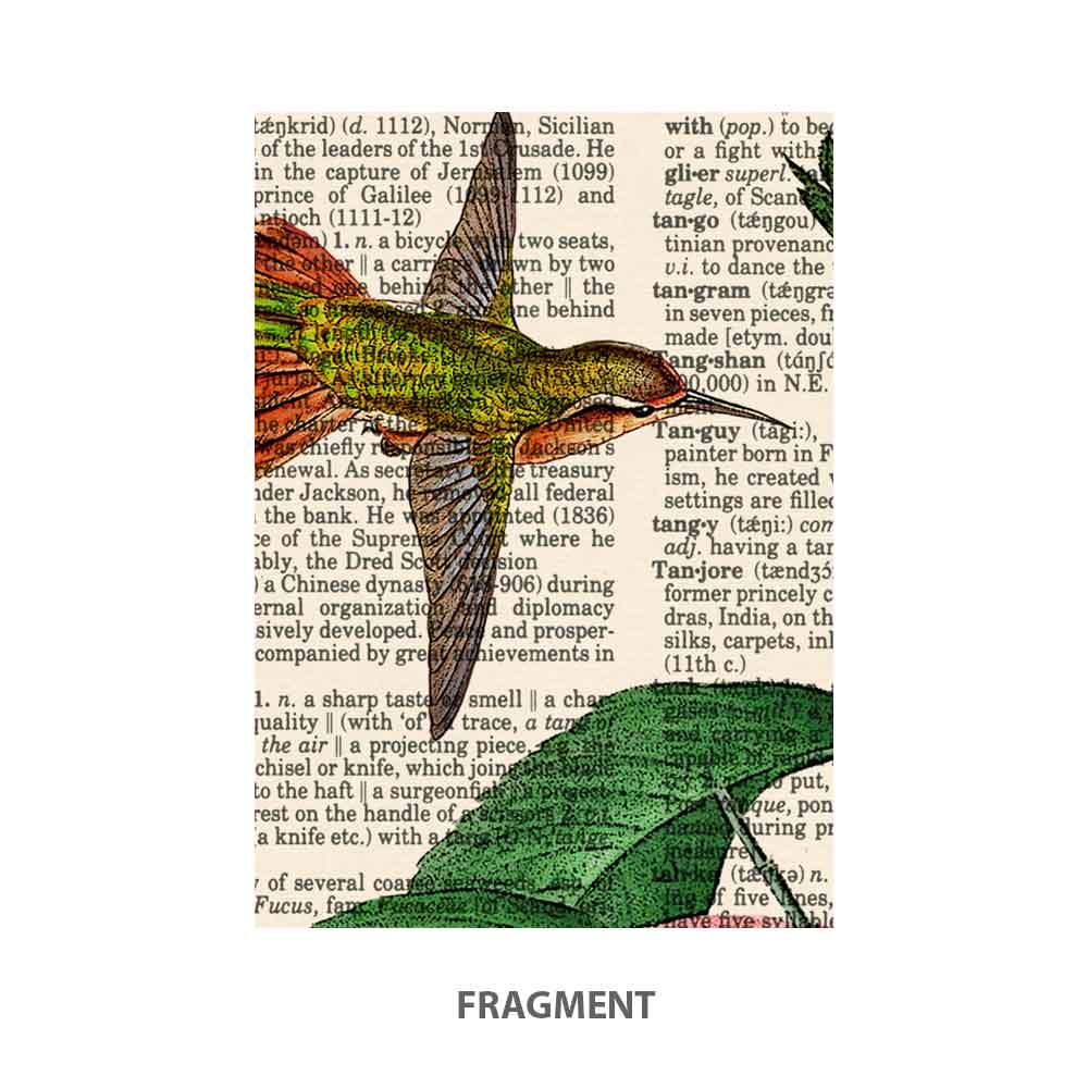 Peaches, hummingbird and butterfly art print S&G Studio fragment