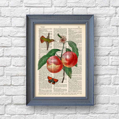 Peaches, hummingbird and butterfly art print S&G Studio