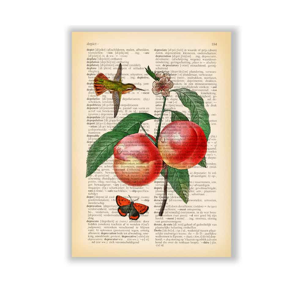 Peaches, hummingbird and butterfly art print S&G Studio