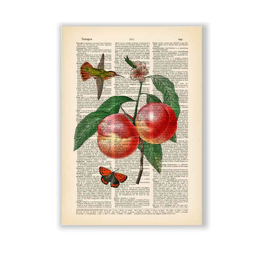 Peaches, hummingbird and butterfly art print S&G Studio