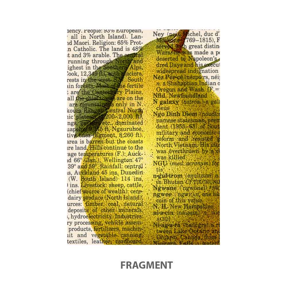 Pear, swallow and butterfly art print S&G Studio fragment