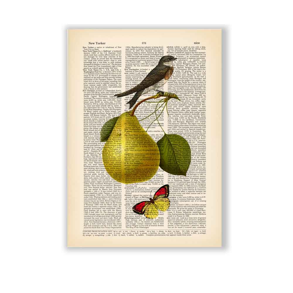 Pear, swallow and butterfly art print S&G Studio