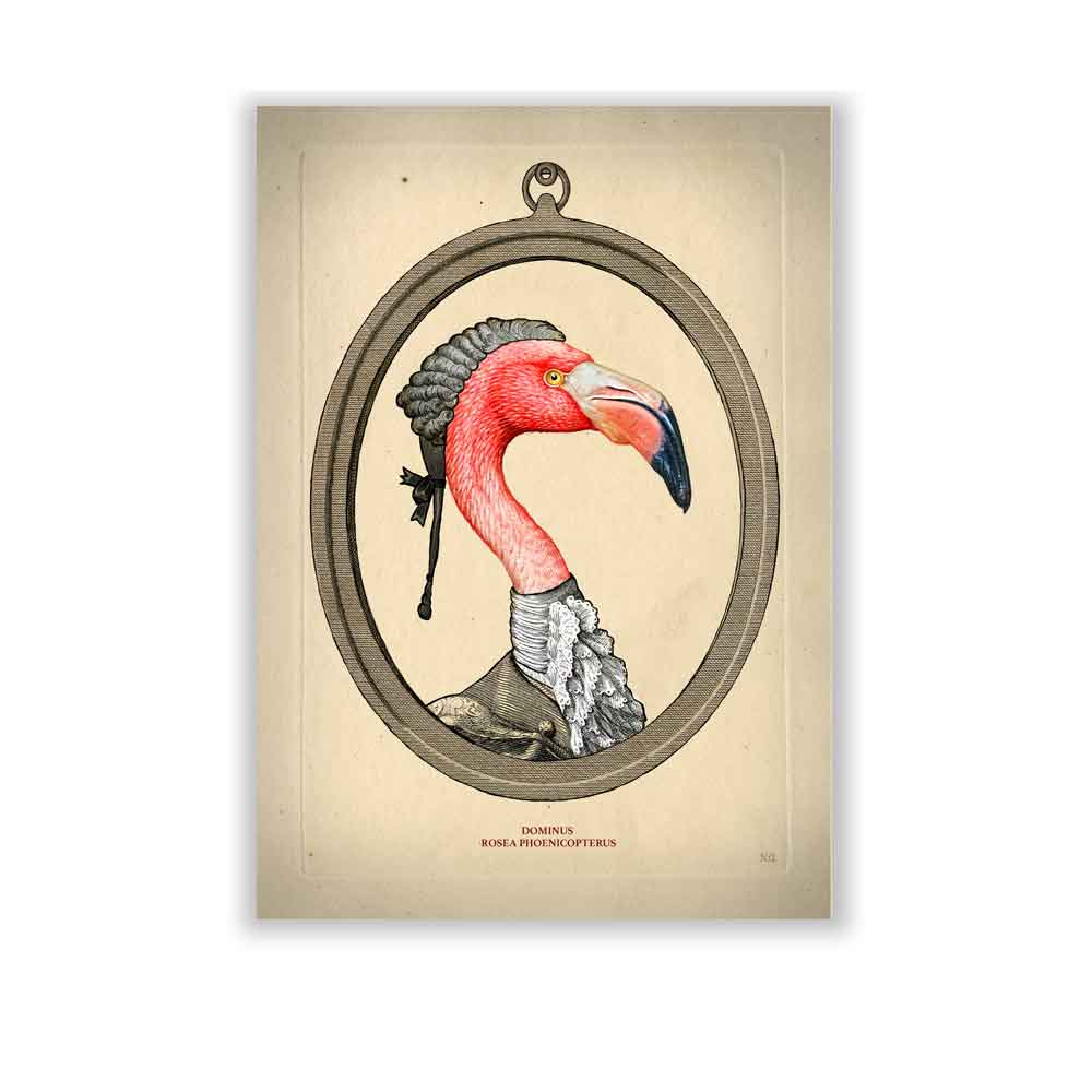 Flamingo bird art print S&G Studio