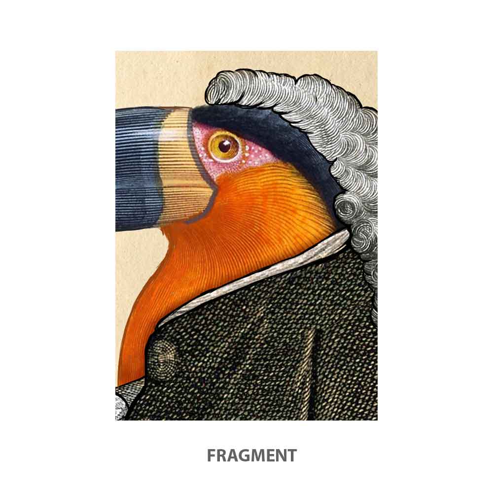 Toucan bird art print S&G Studio fragment