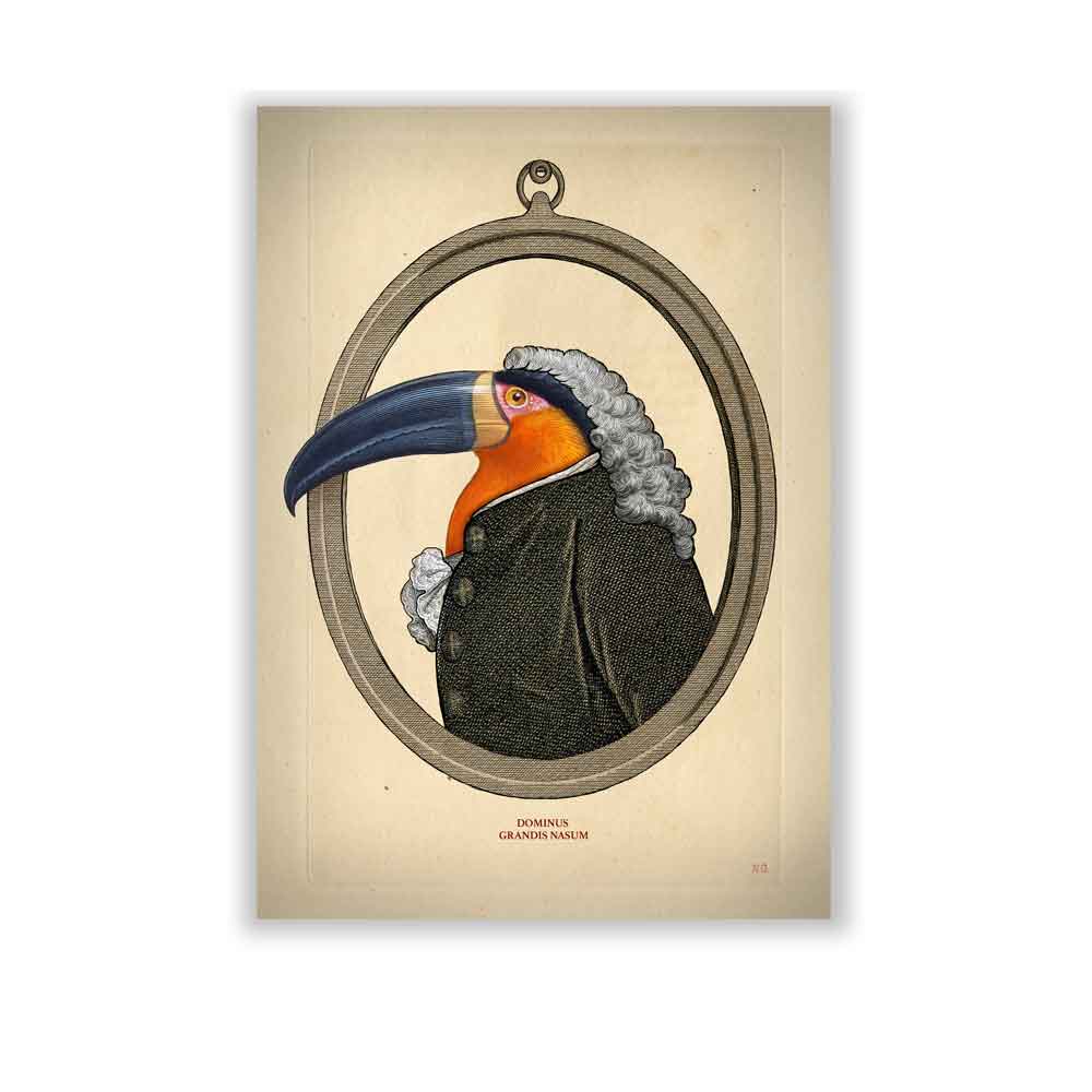 Toucan bird art print S&G Studio