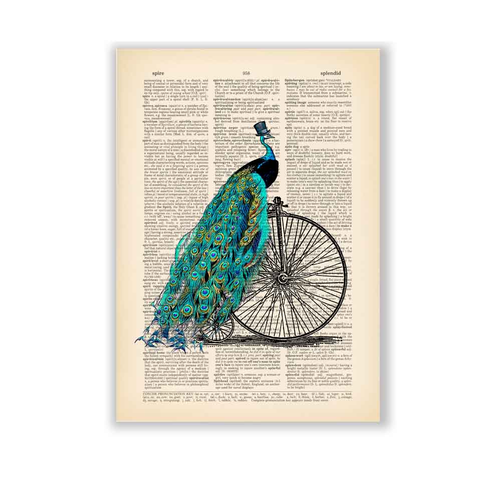 Peacock on Bicycle Art Print S&G Studio