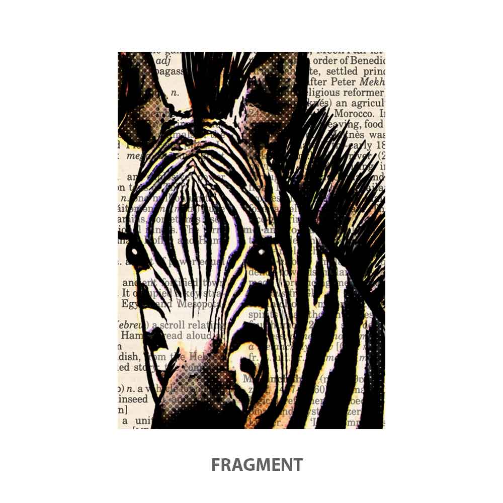 Zebras with bubblegum art print S&G Studio fragment