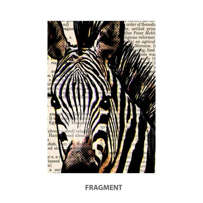 Zebras with bubblegum art print S&G Studio fragment